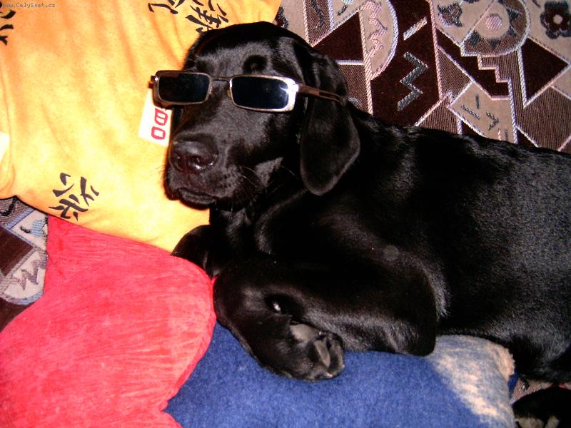 Foto: t�k� pohoda-Endy