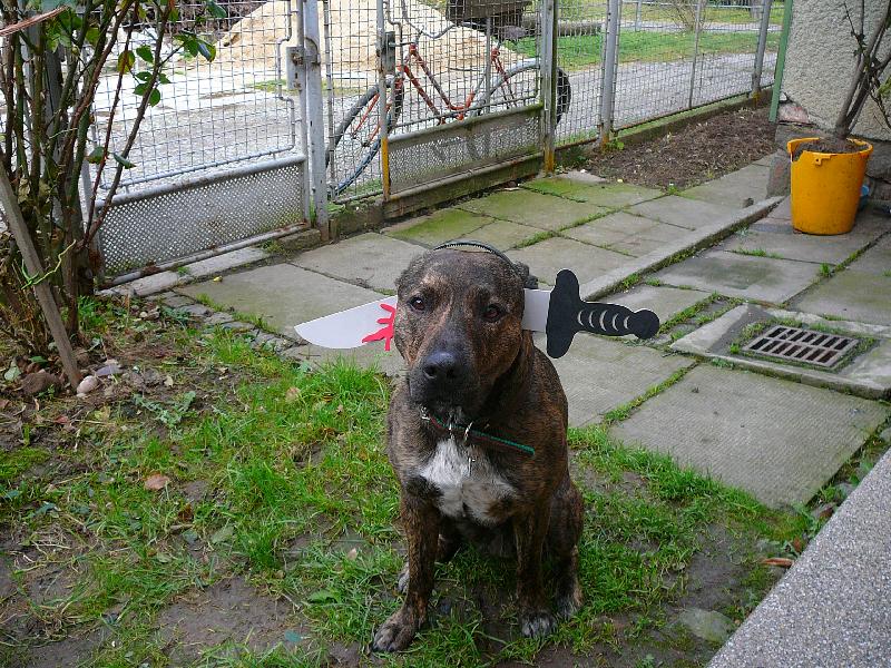 Foto: dasty-P��prava na Hellowen :)