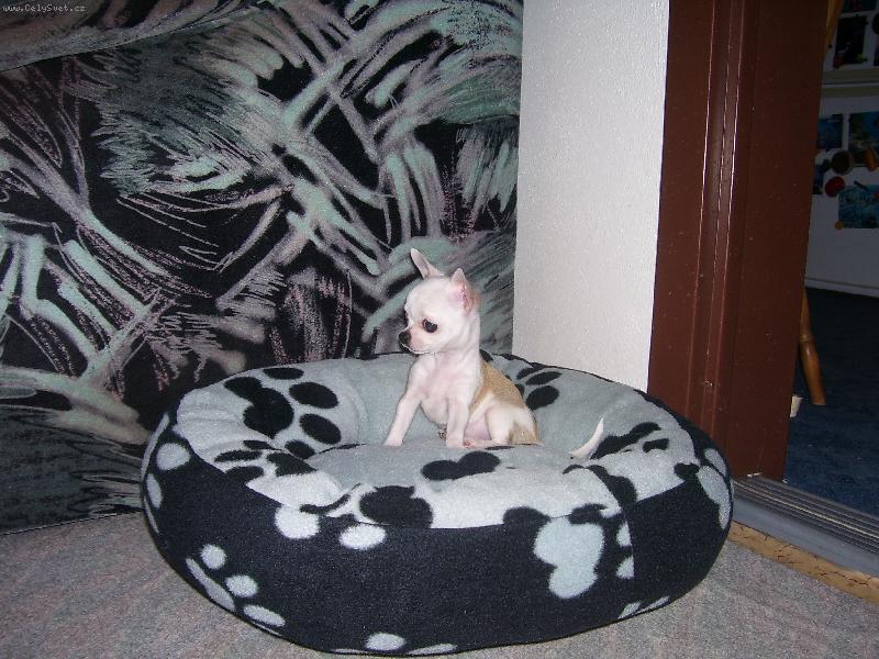 Foto: Lil�a v pel�ku