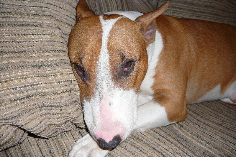 Foto: Halil� kulil�.