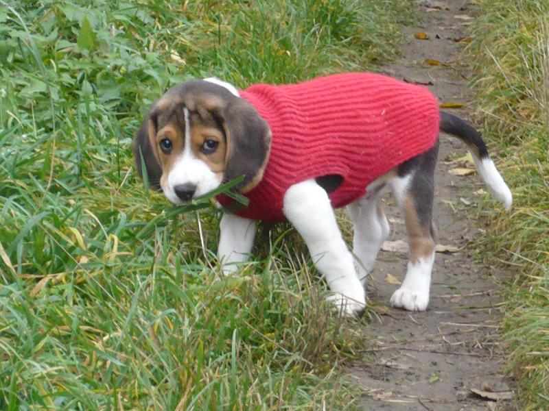 Foto: Bil��ek-Bil��ek