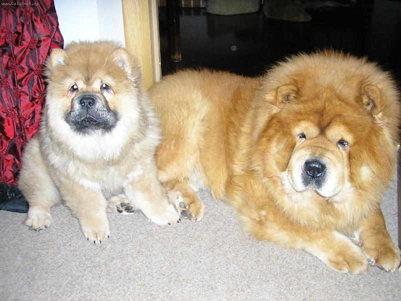 Foto: M�a a Nelinka