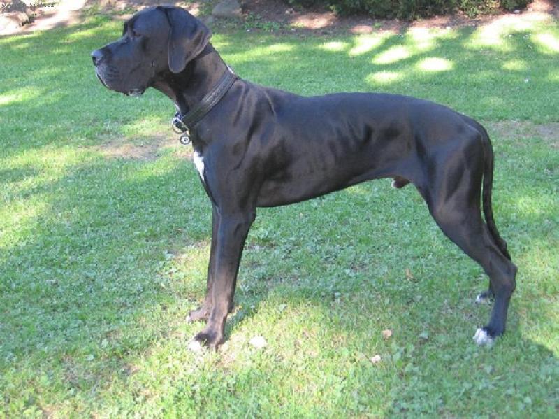 Foto: Arthur - Barneby od �ternbersk�ho hradu