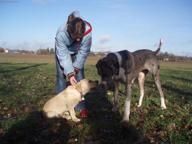 Foto: Bosanka a Lara