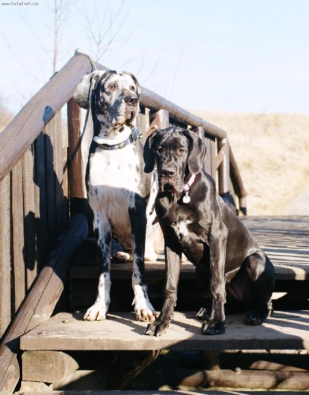 Foto: Jon�ek s R��enou