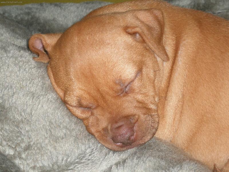 Foto: Sherry-pssssssssst !!!