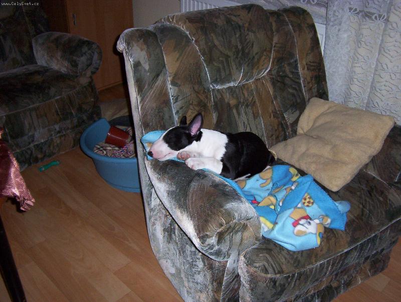 Foto: Whisky-pohodi�ka