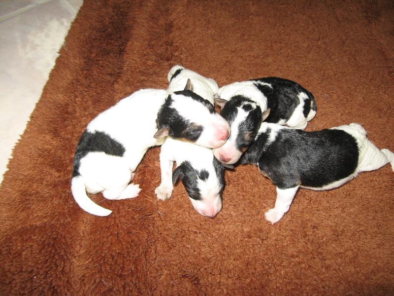 Foto: narodili jsme se a m�me 4 - 8 hodin