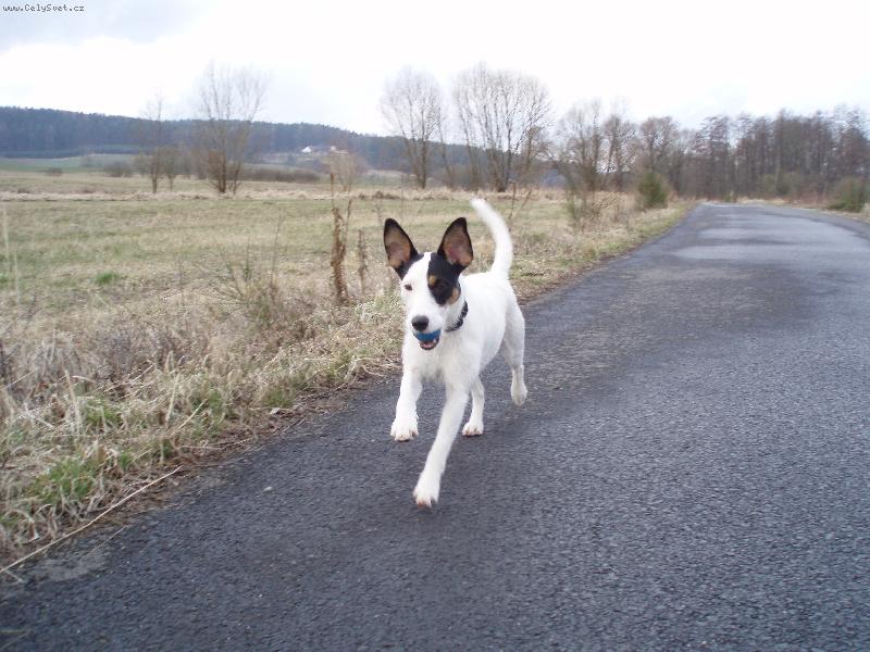 Foto: U�oplesk L�za