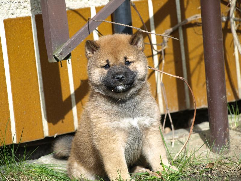 Foto: �t�n�-Mazl��ci