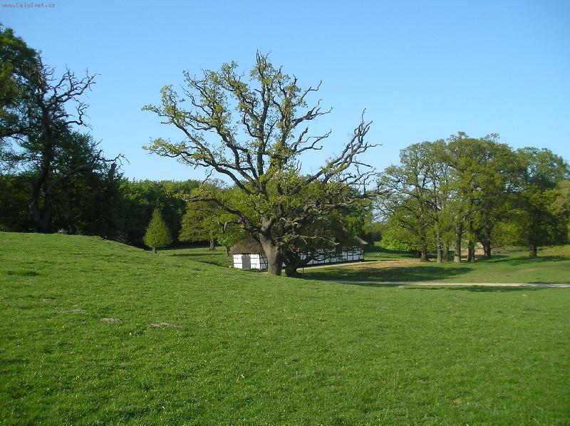 Foto: Koda�-Lyngby