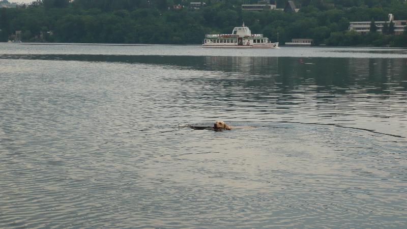 Foto: P�ehrada-B�ra a parn�k