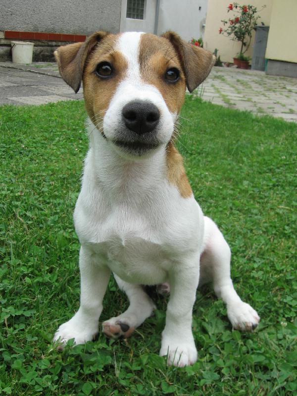 Foto: Tim�sek-4.m�s�ce