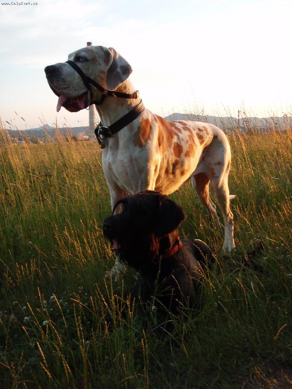 Foto: z�pad slunce