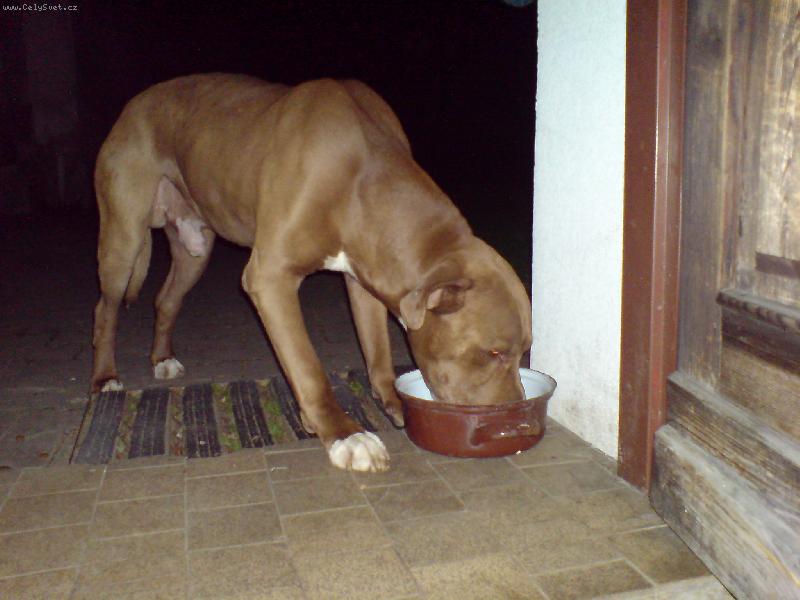 Foto: Aron-Aronek ba�t�...