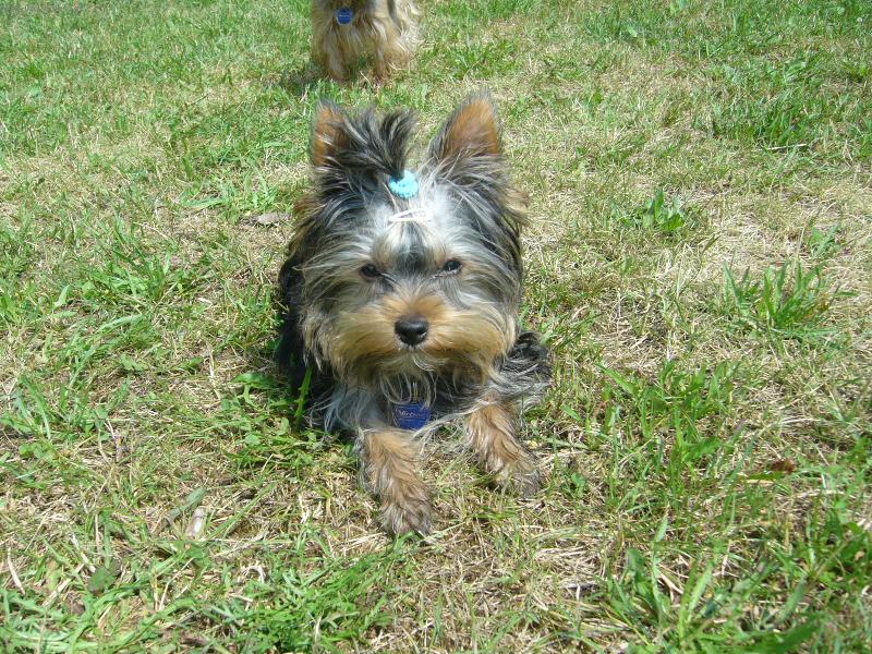 Foto: Monty z D���na