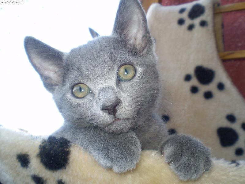 Foto: Leonardo-Na balk�n�