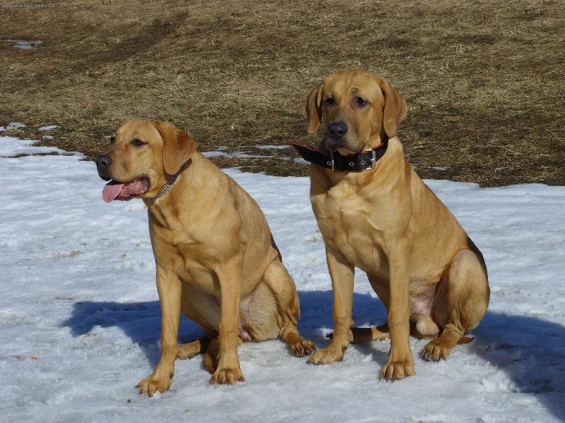 Foto: Baldey a Berie ze �pi��ku je�t� �t���tka