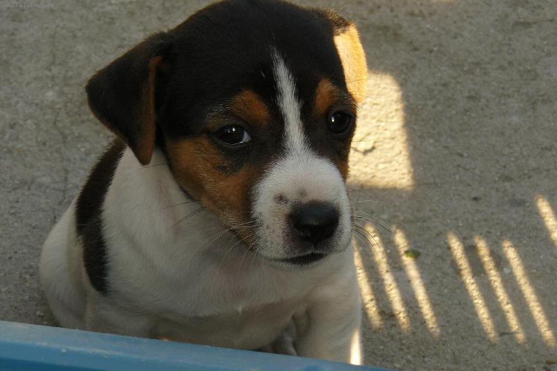 Foto: �t���tko-Bub�k je tat�nek