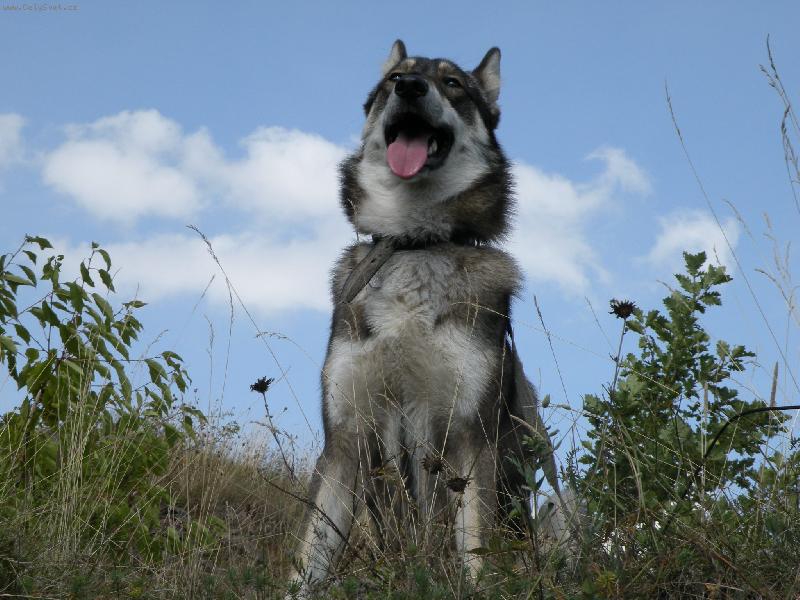 Foto: Charon od katova m�stku-Charon