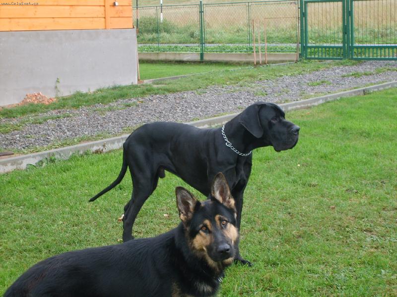 Foto: Achilles-ps� kamar�di