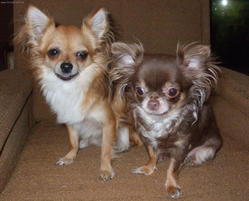 Foto: BEATRIX A PEPSI