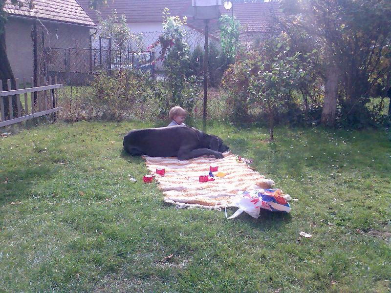 Foto: Grame�ek a Ad�lka