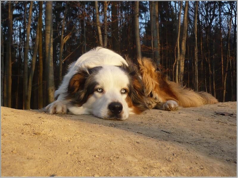 Foto: podzimn� slunce