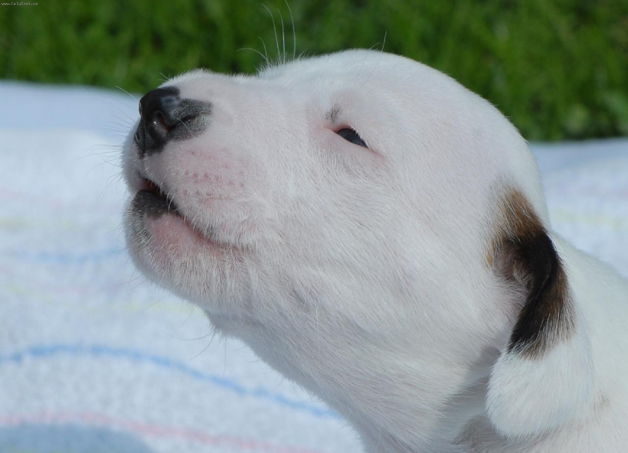 Foto: �t���tko na�� Leont�nky