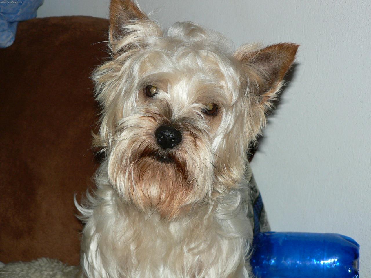 Foto: nas Finecek-no nejsem krasnej