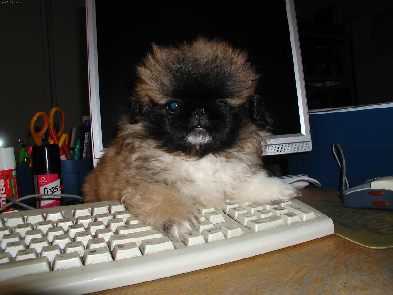 Foto: U po��ta�e-�t�n�