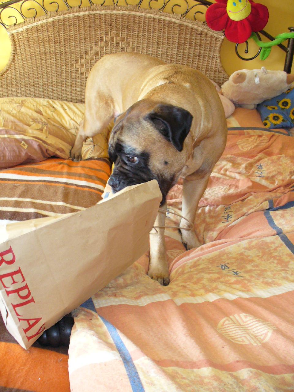 Foto: Odetta-copak jsem dostala