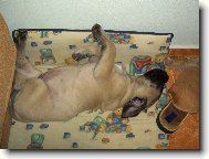 Po sva�in�