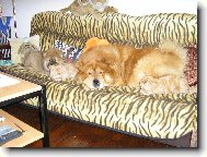 odpoledn� siesta