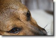 odpo��v�m..