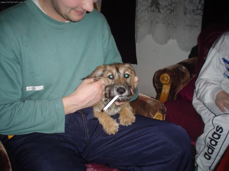 Foto: Dastinka s cigaretkou-DAstinka s cigaretkou
