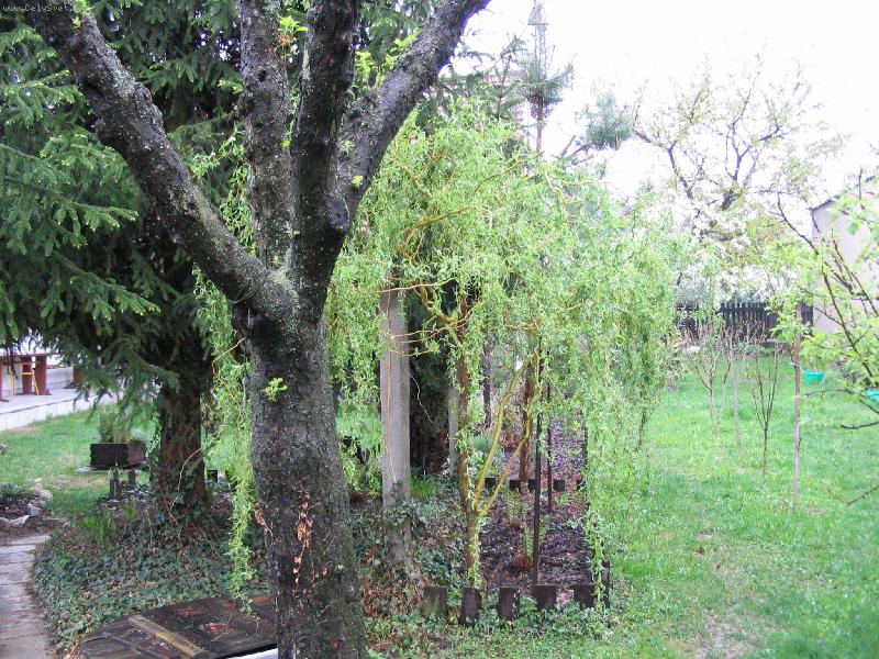 Foto: na�e chalupa-kouzeln� koutek na zahrad�