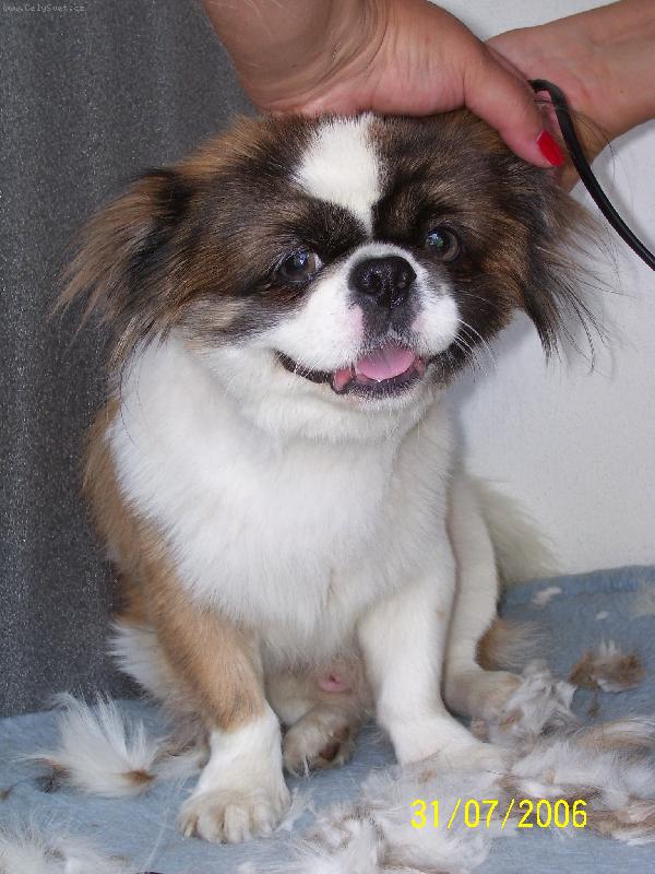 Foto: Ricko drob�ek