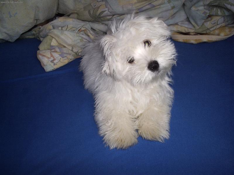 Foto: ???????