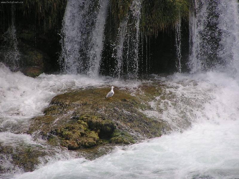 Foto: Koupel uprost�ed vodop�du