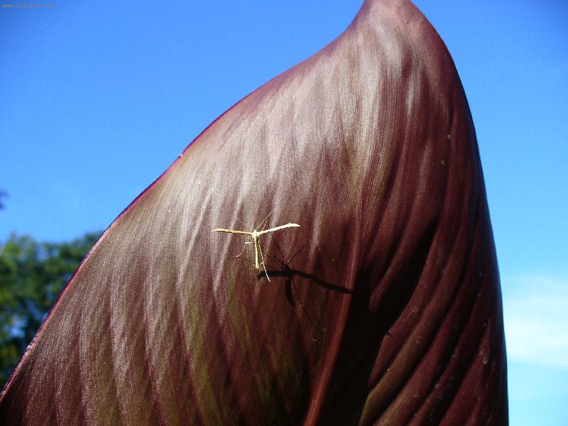 Foto: Mal� cestovatel