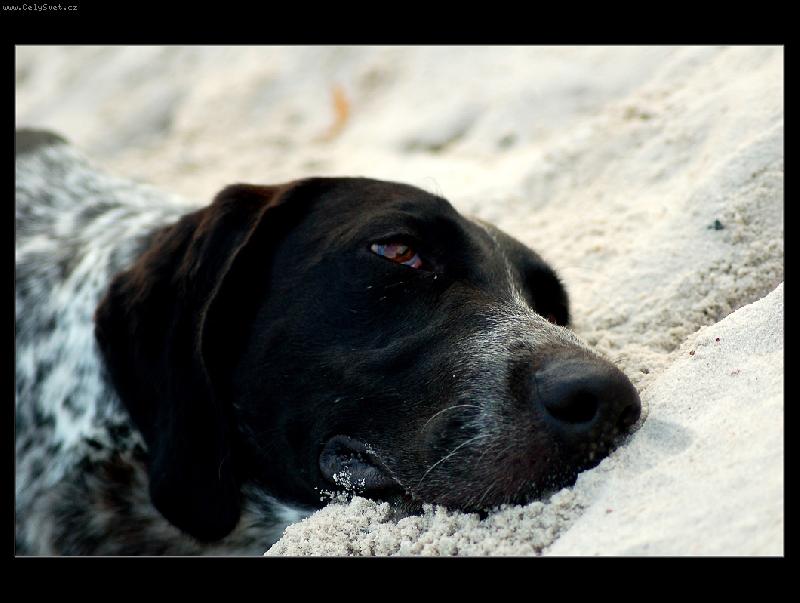 Foto: Body po tr�ninku