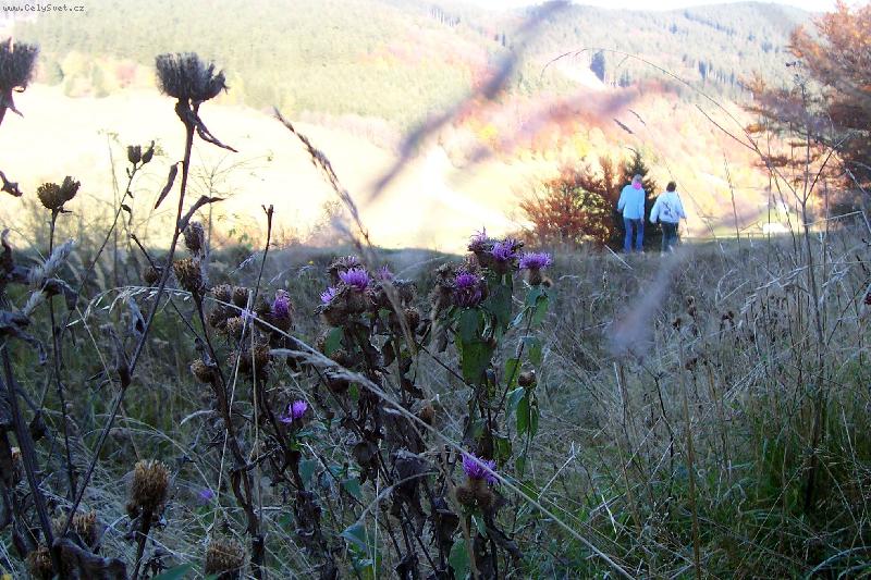 Foto: Podzimn� p��roda