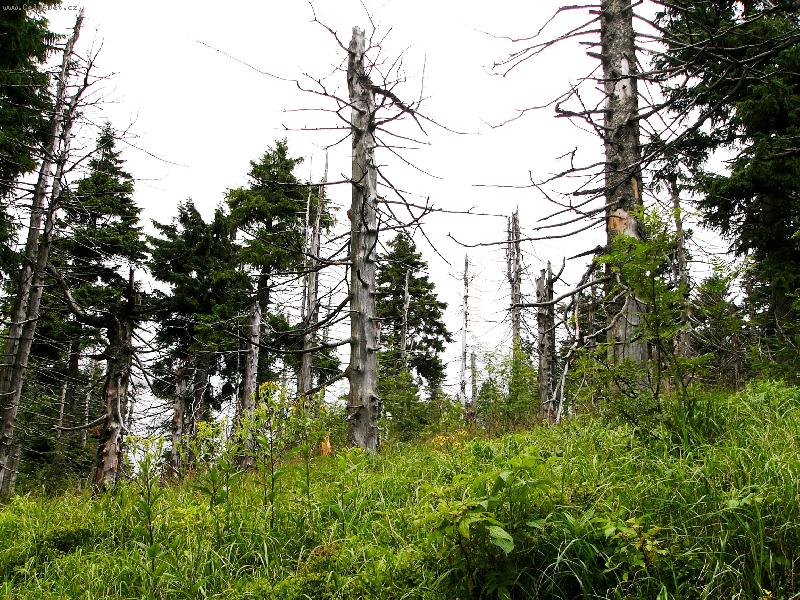 Foto: opravdu Kru�n� hory