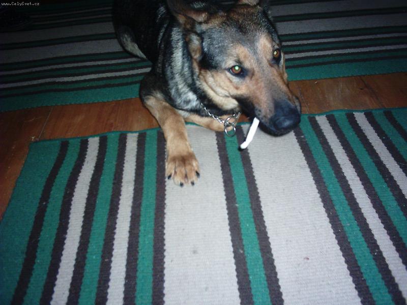 Foto: Abbynka-V�bon� ty�inka!!!!!!!!!!!!!!