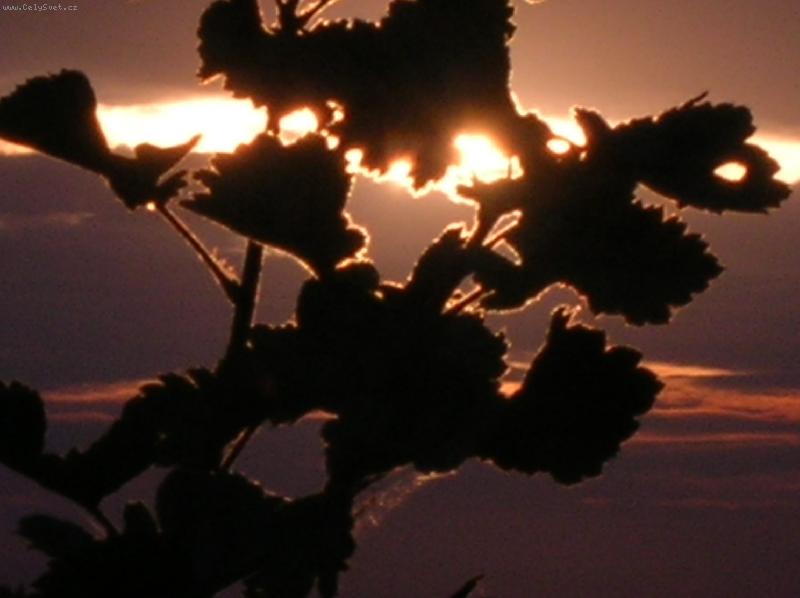 Foto: vz��i slunce