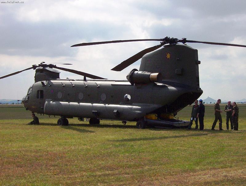 Foto: "V�trn�ky"-Opravdu um� ud�lat pr�van......