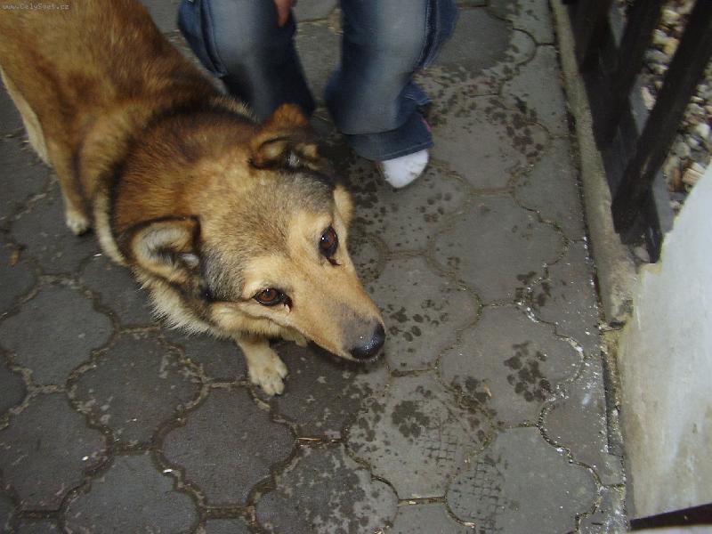 Foto: N� Ben��ek