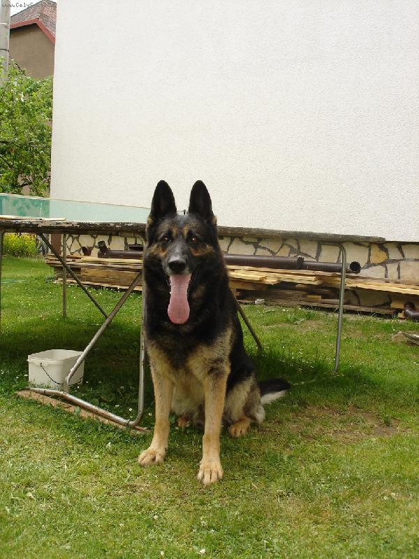 Foto: ron