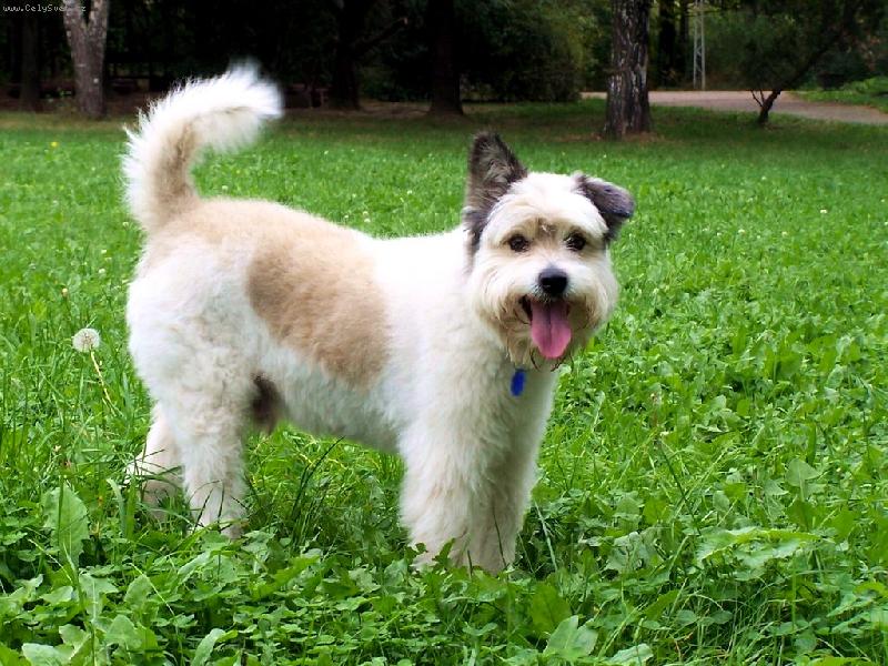 Foto: End��ek-Za fenami nel�t�m jen kdy� se fot�m